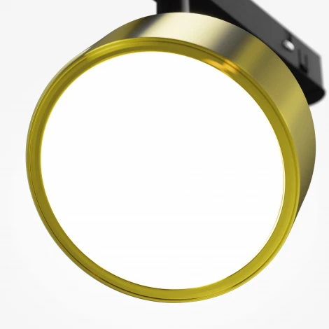 Трековый светильник магнитный 48V Maytoni Rado TR040-2-18W4K-BBS (LED, круглые)