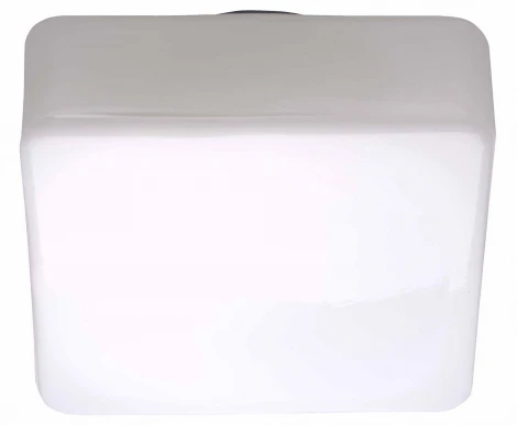 Настенно-потолочный светильник Brilliant Isar 90240/05