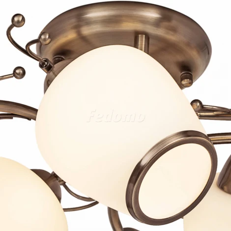 Потолочная люстра Silver Light Verbena 501.53.6