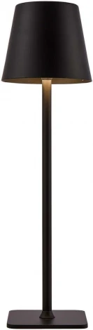 Настольная лампа с аккумулятором F-Promo Pyari 4615-1T (LED, 220V)