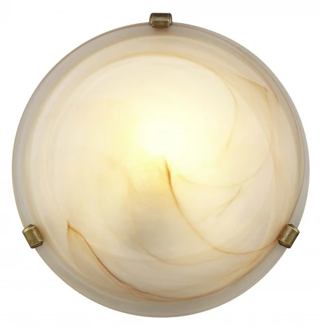 Потолочный светильник Brilliant Mauritius 90103/20