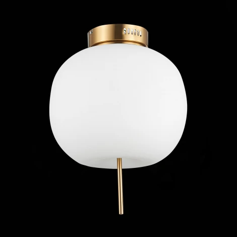 Потолочная люстра ST Luce Lacus SL1621.202.01