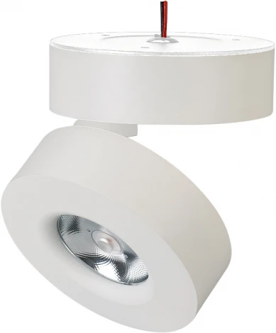 LED спот SP-MONA-SURFACE-R100-12W Warm3000 (WH, 24 deg) (Arlight, IP40 Металл) 025440(1) (220V)