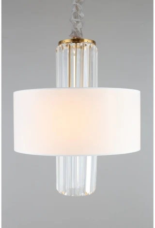 Подвесная люстра Aployt Karola APL.841.13.04 (220V, на цепи, круглые)