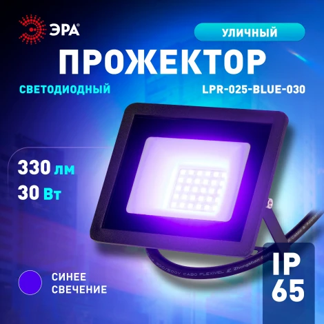 Прожектор уличный светодиодный ЭРА LPR-02 LPR-025-BLUE-030