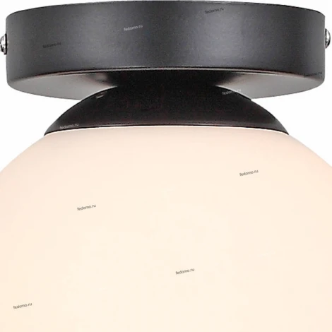 Настенно-потолочный светильник ST Luce Acini SL717.401.01