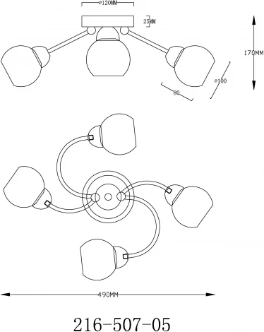 Люстра потолочная 216-507-05