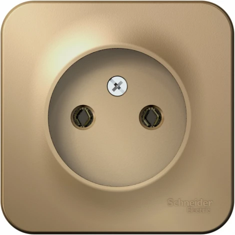 Розетка накладная без заземления (титан) Systeme Electric Blanca BLNRA000114