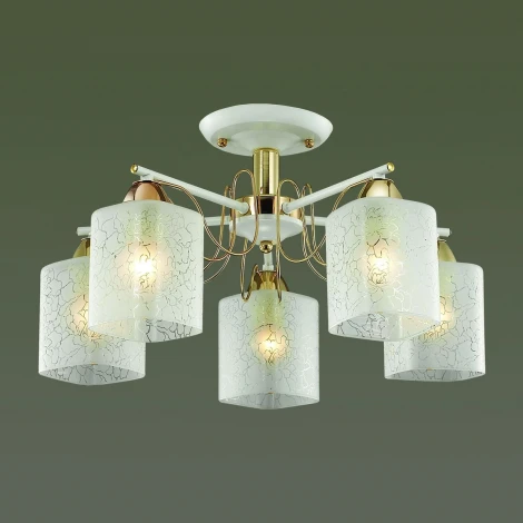 Потолочная люстра Lumion Opicus 3508/5C