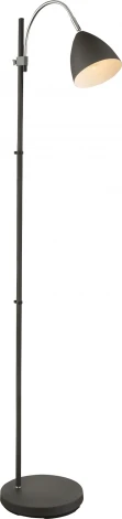 Торшер Globo Archibald 24858S