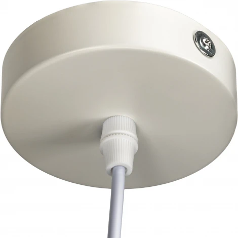 Подвесной светильник светодиодный Ritter Scandia 52077 1