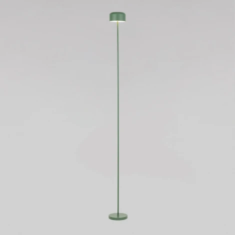 Торшер зеленый TK Lighting Noa 19007
