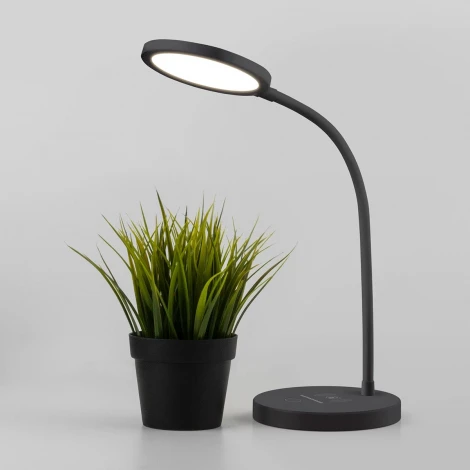 Интерьерная настольная лампа Elektrostandard Tiara TL90560