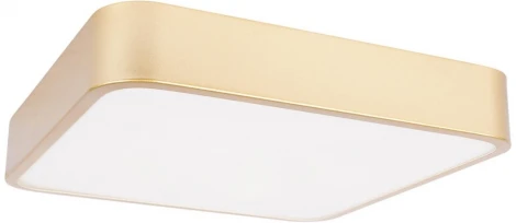 Потолочные светильники Loft It Flims 10228/C (LED, 220V)