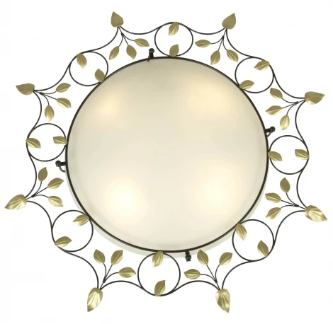 Настенно-потолочный светильник Favourite Terra 1101-4C