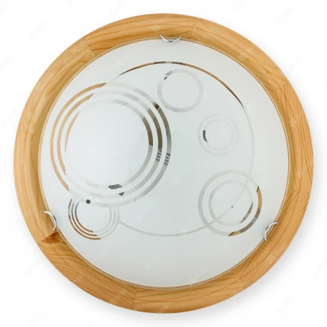 Настенно-потолочный светильник Toplight Margaret TL9003Y-02PN