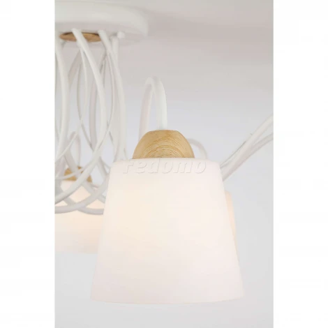 Потолочная люстра Eurosvet Betty 70062/8 белый (220V)