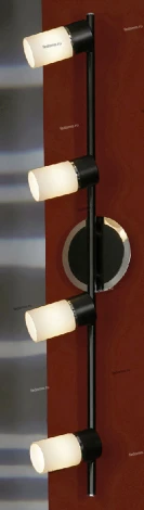 Настенно-потолочный светильник Lussole Siliqua LSQ-6109-04