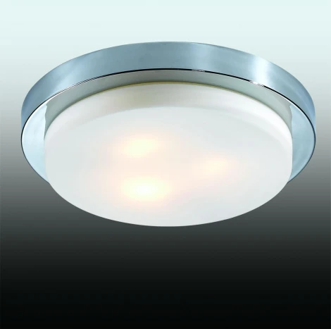 Настенно-потолочный светильник Odeon Light Holger 2746/3C (220V, IP44)