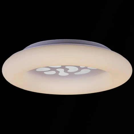 Потолочный светильник светодиодный с пультом Reluce 09939-0.3-108W WT