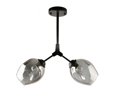 Потолочная люстра на штанге Мелодия Света SL1N 000024828