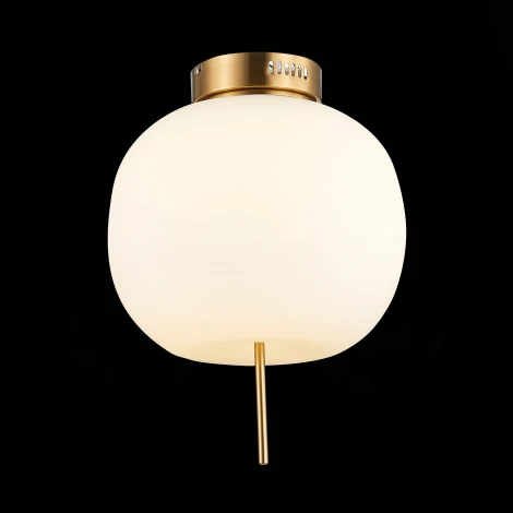 Потолочная люстра ST Luce Lacus SL1621.202.01