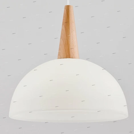 Подвесной светильник Alfa Anja 9648(80400)