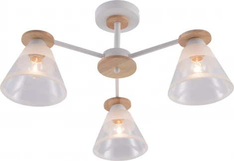 Потолочная люстра на штанге Rivoli Theothila 9177-303