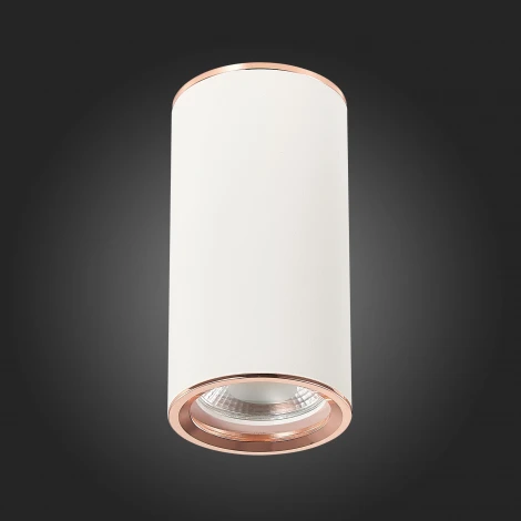 Накладной точечный светильник ST Luce Chomus ST111.527.01 (220V, круглые)