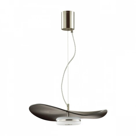 Подвесной светильник Odeon Light Fluent 4859/13L