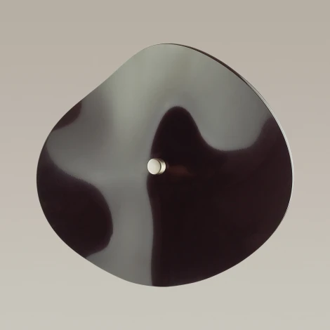 Настенный светильник Odeon Light Fluent 4859/5WL