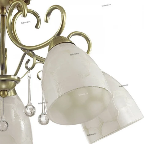 Потолочная люстра Lumion Eleconca 3511/5C