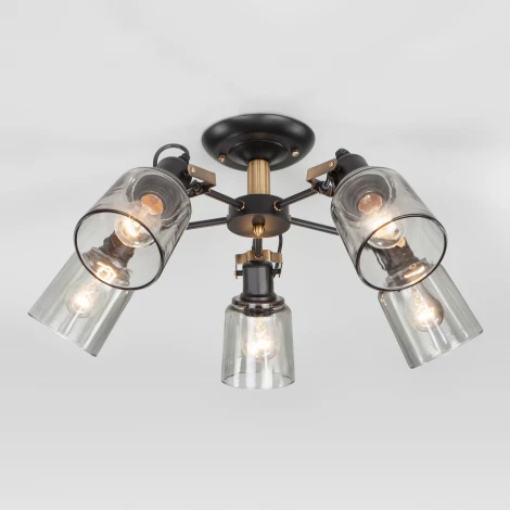 Потолочная люстра на штанге Eurosvet Astor 70111/5 черный (220V)