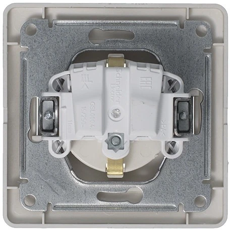 Розетка встраиваемая с заземлением (платина) Systeme Electric Glossa GSL001242