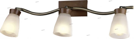 Спот Odeon Light Tara 1971/3W