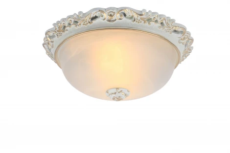 Потолочный светильник Arte Lamp Torta A7151PL-2WG
