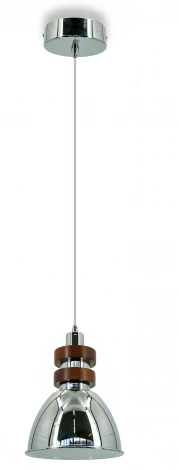 Подвесной светильник Lightera Guaviare LE105L-16C (220V, на проводе, под старину)