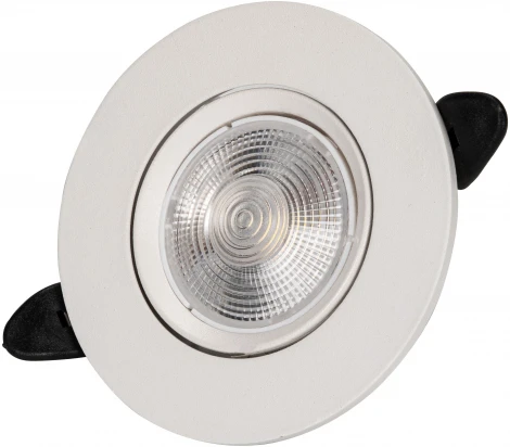 Встраиваемый светодиодный светильник Zortes Raiz ZRS.57795.10 (220V, круглые)