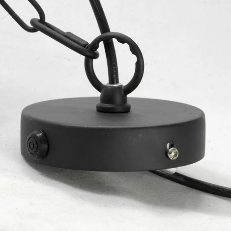 Подвесной светильник Lussole Loft Buffalo LSP-9994