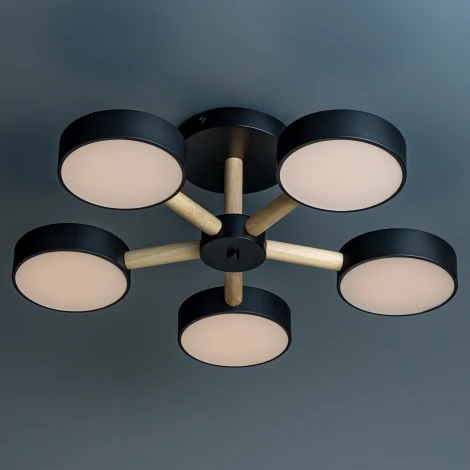 Потолочная люстра светодиодная на штанге с ДУ Ritter Scandia 51592 4