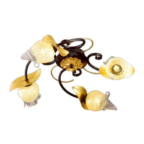 Потолочная люстра Odeon Light Anaba 2691/4C