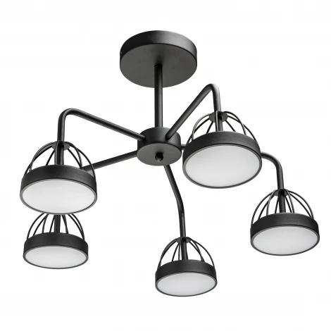 Потолочная люстра светодиодная на штанге Ritter Mattino 51594 8