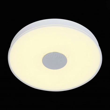 Потолочный светильник ST Luce Semplicita SL473.502.01D