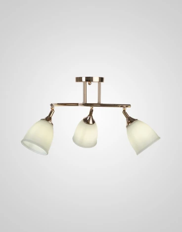 Потолочная люстра на штанге Мелодия Света SS1N 000030806