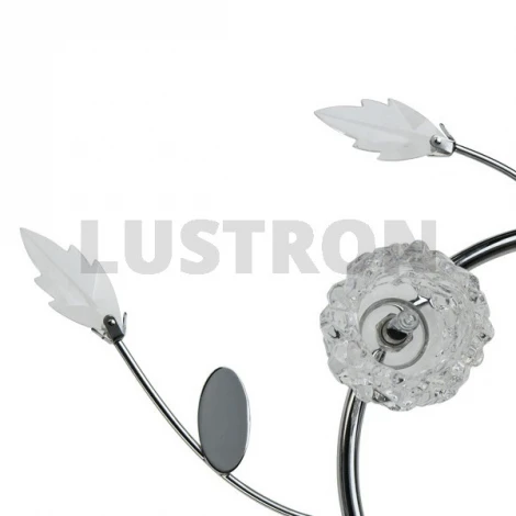 Бра MW-Light Амелия 360022603