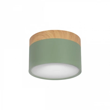 Накладной светильник Grape 10162 Green (LED, 220V, круглые)