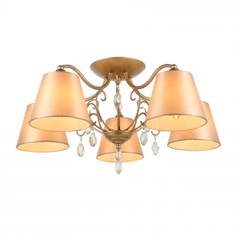 Потолочная люстра ST Luce Rimonio SL1135.102.05