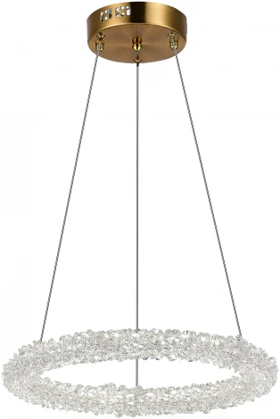 Подвесной светильник Avana SL6110.203.01 ST Luce (регулировка яркости, LED, 220V, пульт управления, на тросе, кольцо)