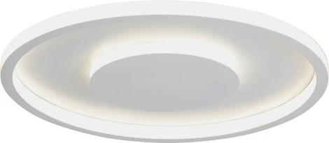 Потолочный светильник круглый светодиодный LED 58Вт, 3900-4200К Vitaluce V3891-0/2PL (220V, круглые)