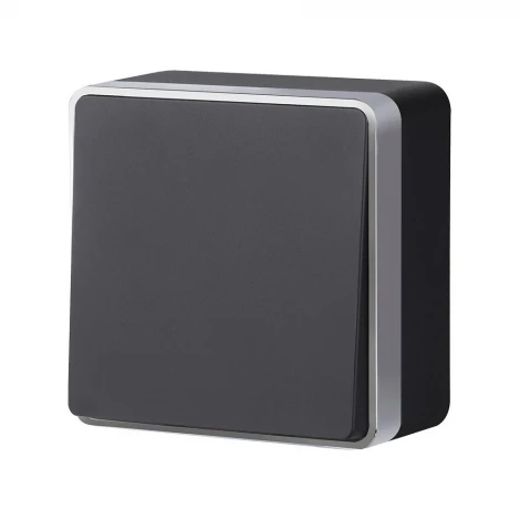 Выключатель одноклавишный Gallant Werkel W5010034 (черный с серебром)